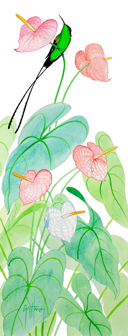 anthurium painting Guy Harvey streamertail & Anthuriums Original Artwork, 12" x 5", Unframed