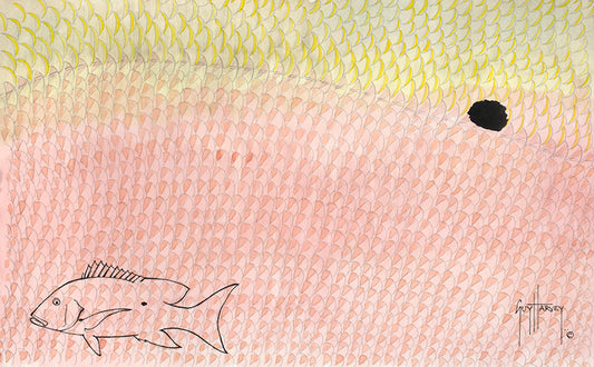 "Mutton Snapper Skin" Original