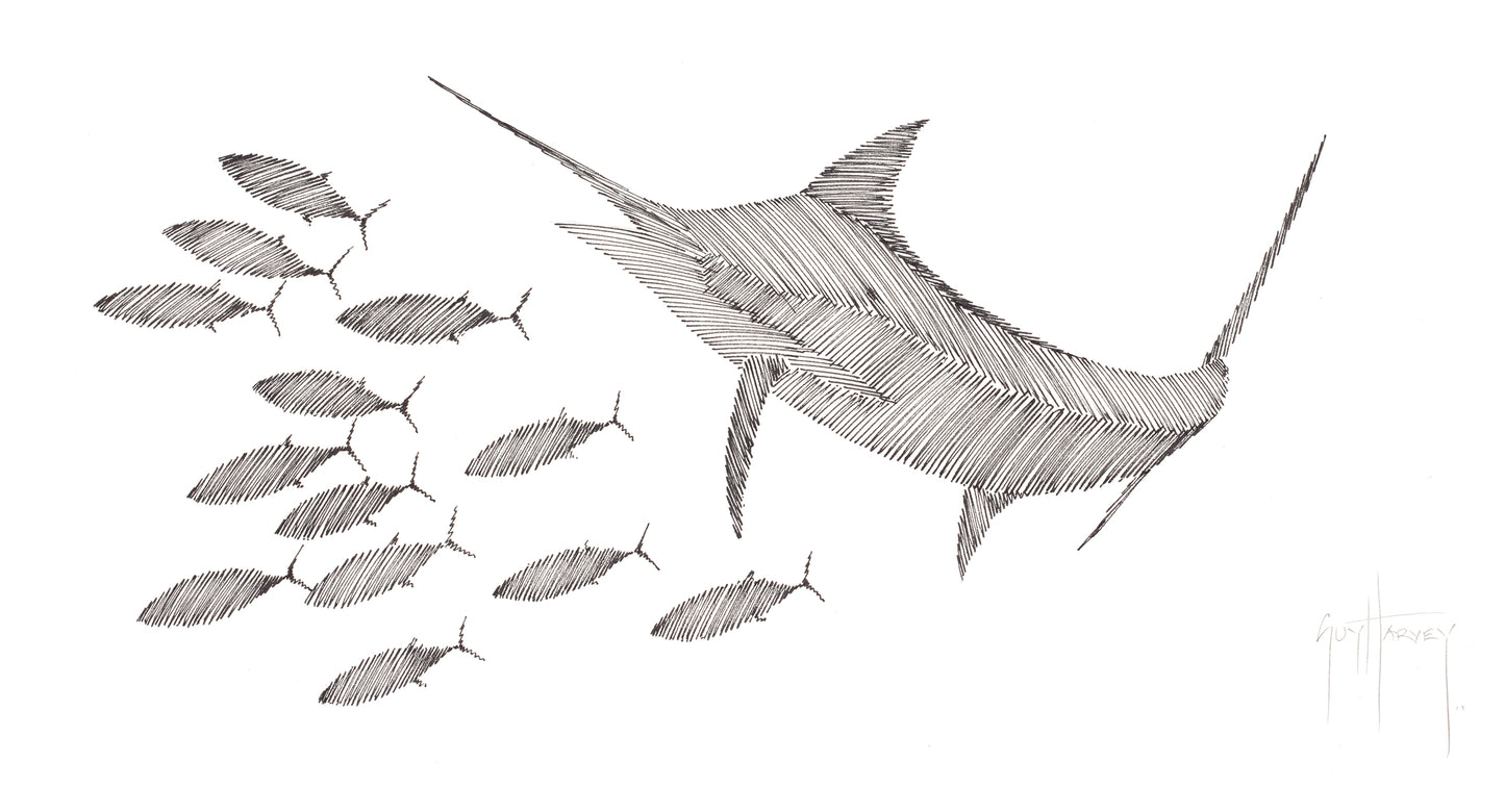 "Blue Marlin & Skip Jack Tuna Scribble" Original