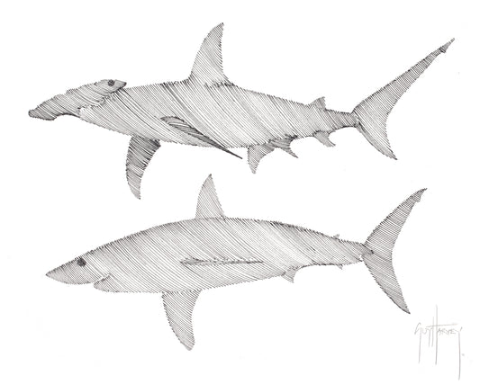 "Great Hammerhead and Mako" Original