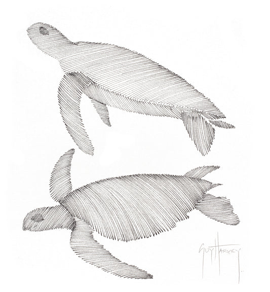 "Two Turtles: Green & Hawksbill Scribble" Original