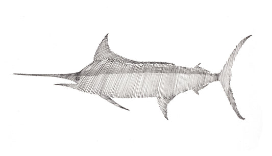 "Blue Marlin Swimming to the Left Scribble" Original