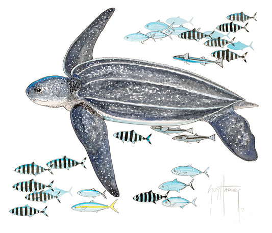 "Leatherback Turtle and Pilot Fish" Original