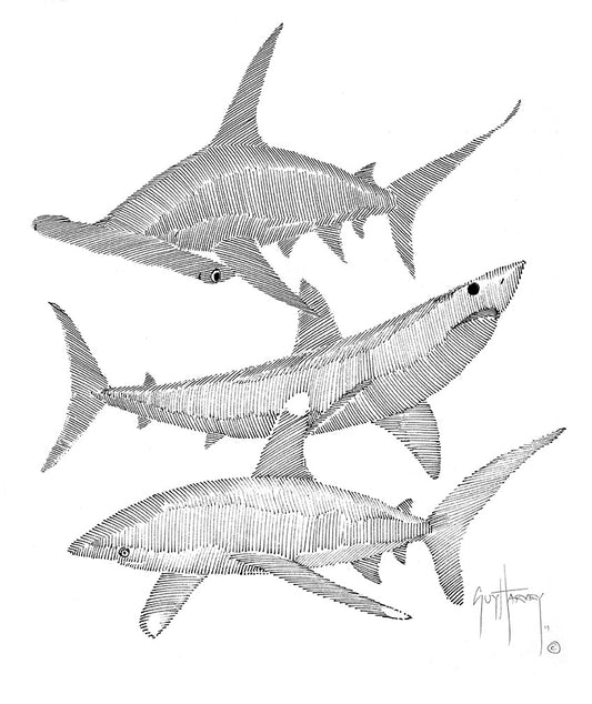 "Triple Sharks Scribble" Original