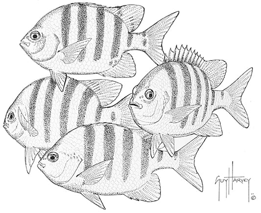 "Sergeant Major Team Stipple" Original