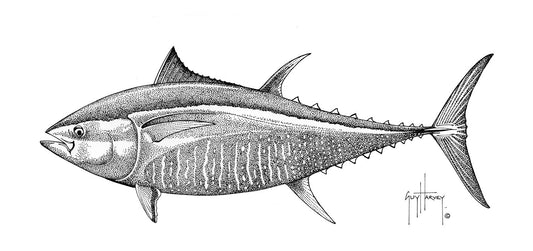 "Bluefin Tuna Stipple" Original