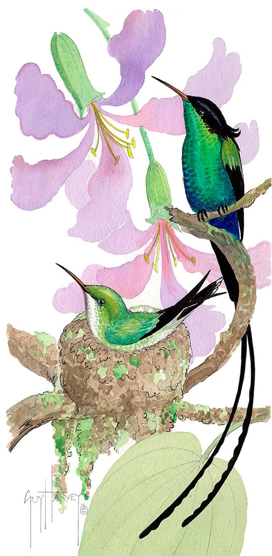 "Bauhinia Nest" Original