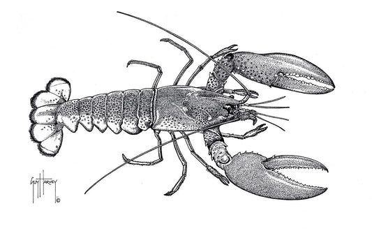 "Maine Lobster Stipple" Original