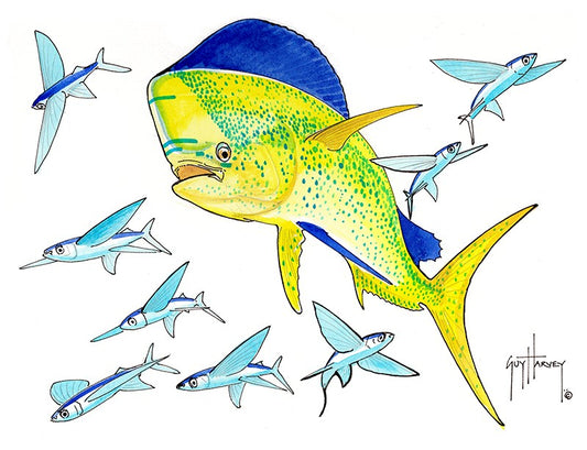 "Close Call Dorado" Original