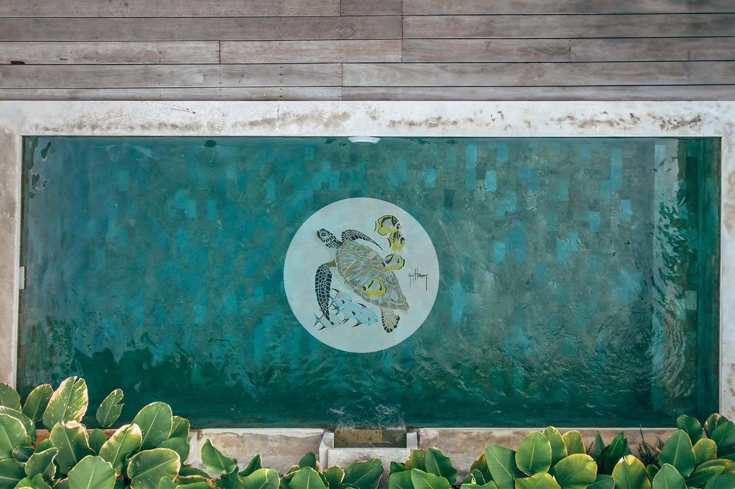 Turtle Medallion Mosaic - Small