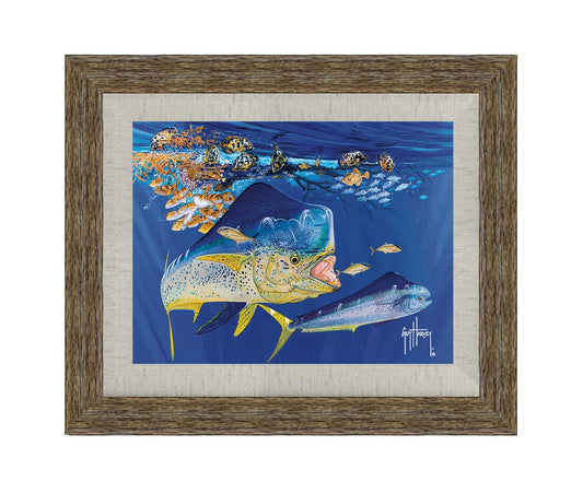 "Dolphin Summer" Limited Edition Print
