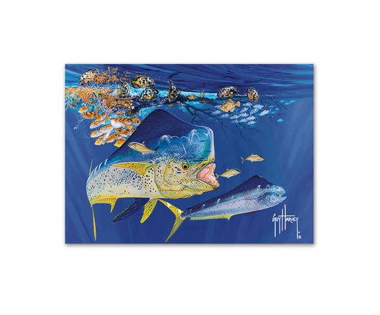 "Dolphin Summer" Limited Edition Print