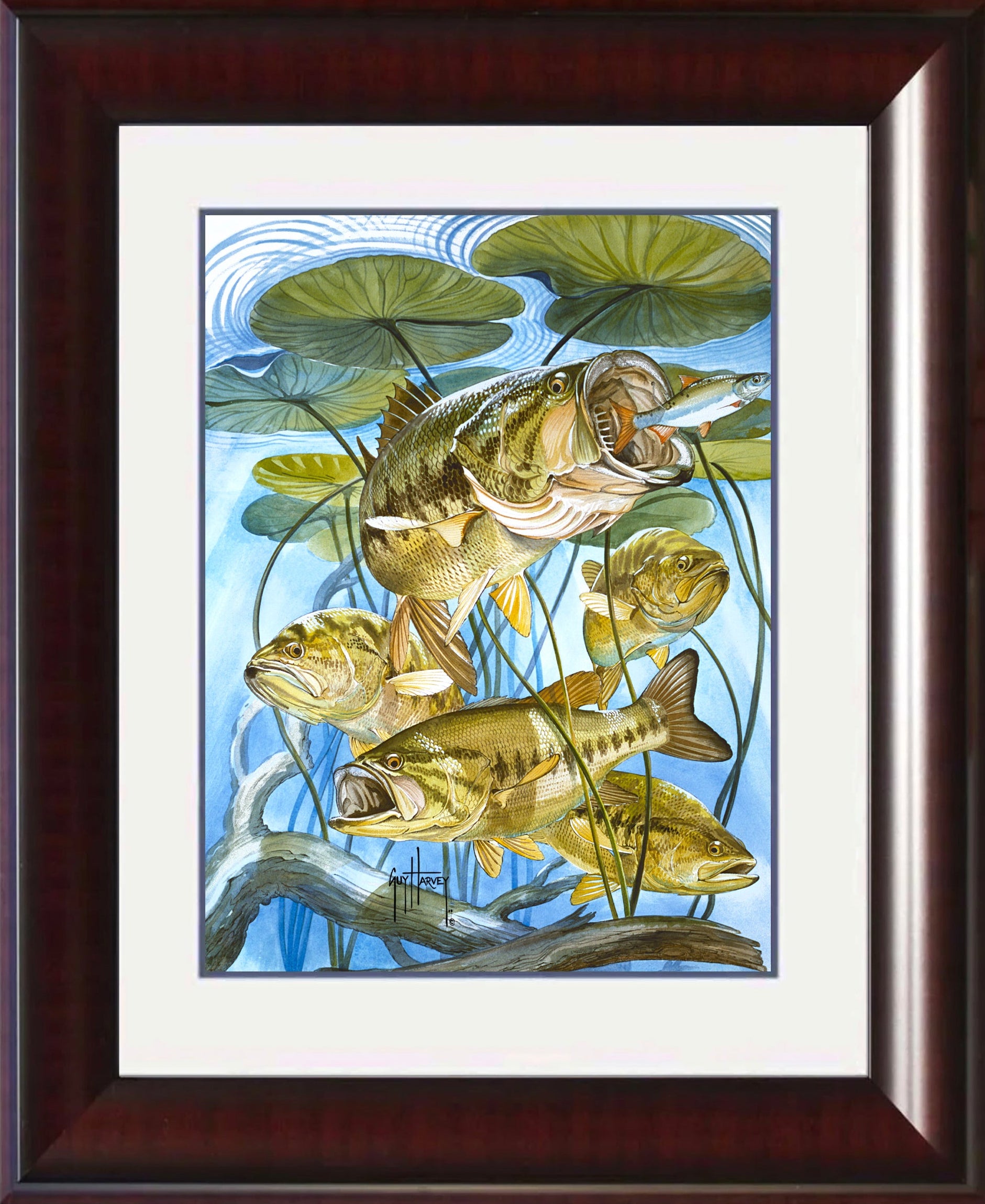 ソラバシ直筆サイン入り 1989 BASS FISHING NEW BASICS Five Largemouth Bass Under Lily Pads