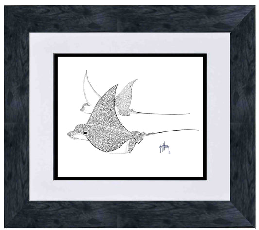 "Fly By" Limited Edition Print