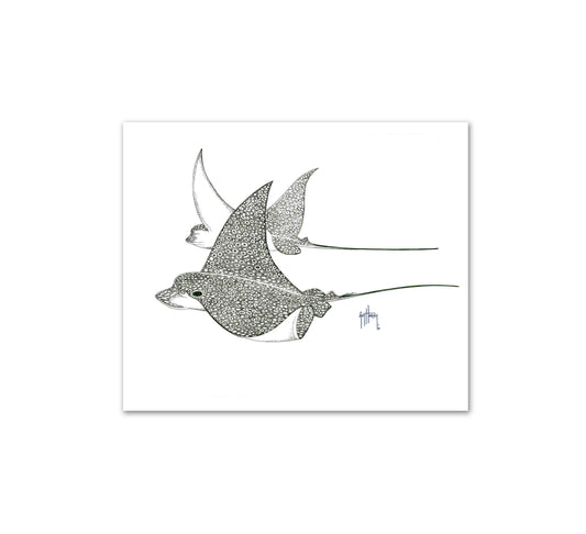 "Fly By" Limited Edition Print