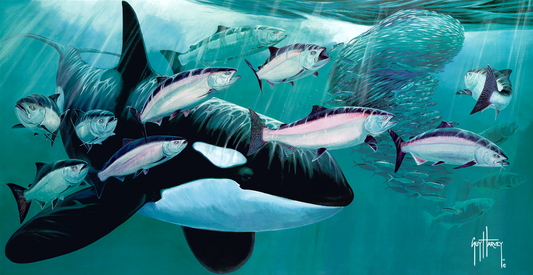 "Northern Exposure" Aluminum Art