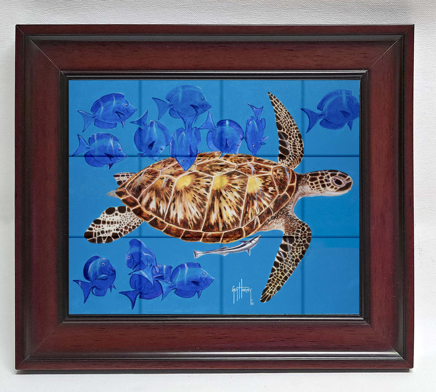"Green Turtle & Blue Tangs" Tile Art