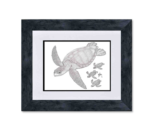"Kemp's Ridley with Hatchlings" Limited Edition Print