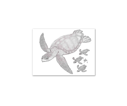 "Kemp's Ridley with Hatchlings" Limited Edition Print