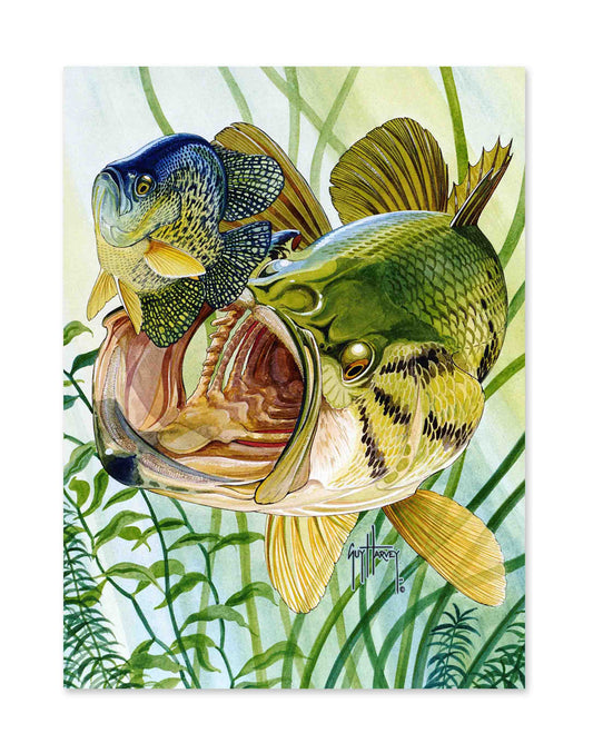 "Largemouth Bass" Limited Edition Print