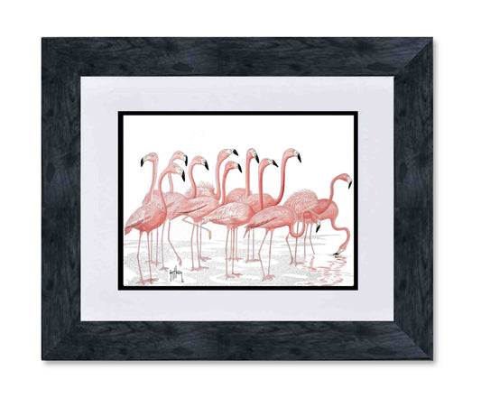"Let's Fla-Mingle" Limited Edition Print