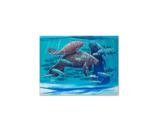 "Manatee Escape" Limited Edition Print