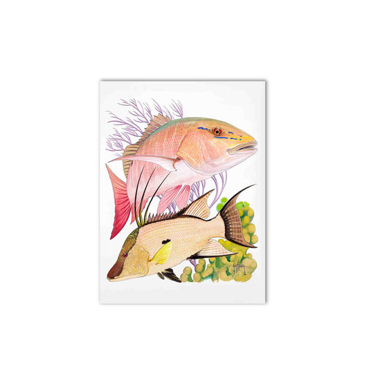 "Mutton Snapper & Hogfish" Limited Edition Print