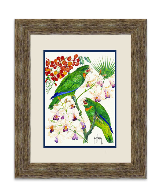 "Parrots & Orchids" Limited Edition Print