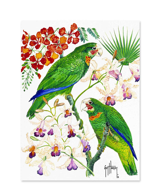 "Parrots & Orchids" Limited Edition Print