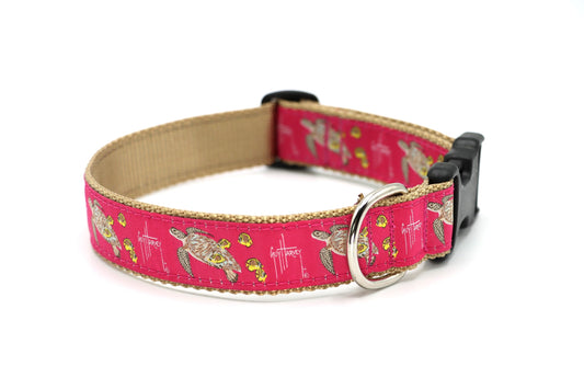 Sea Turtle Dog Collar