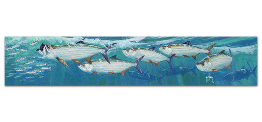 "Tarpon Run" Limited Edition Print