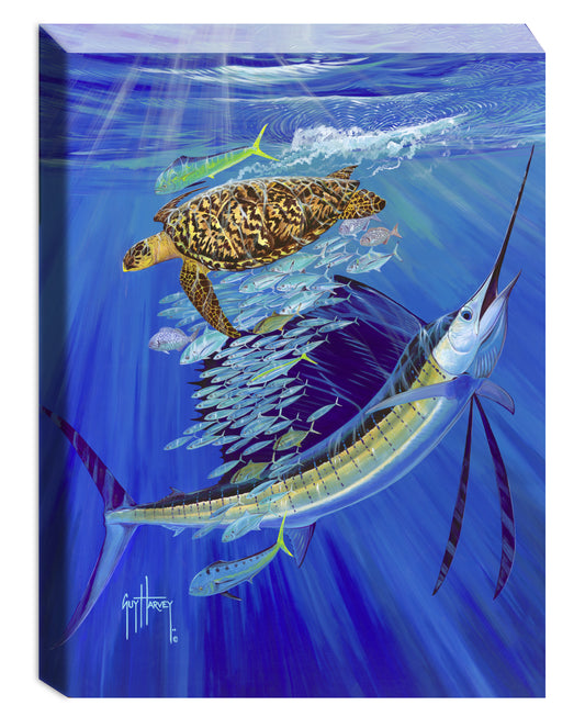 "Touche" Limited Edition Canvas Art