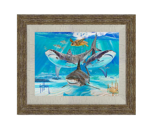 "Turtle Soup" Limited Edition Print