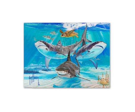 "Turtle Soup" Limited Edition Print