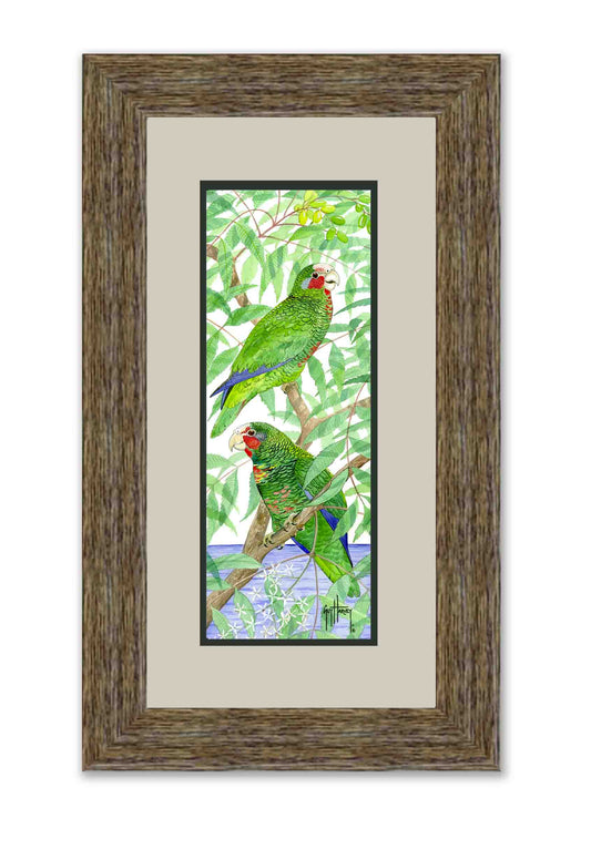 "Two Parrots" Limited Edition Print