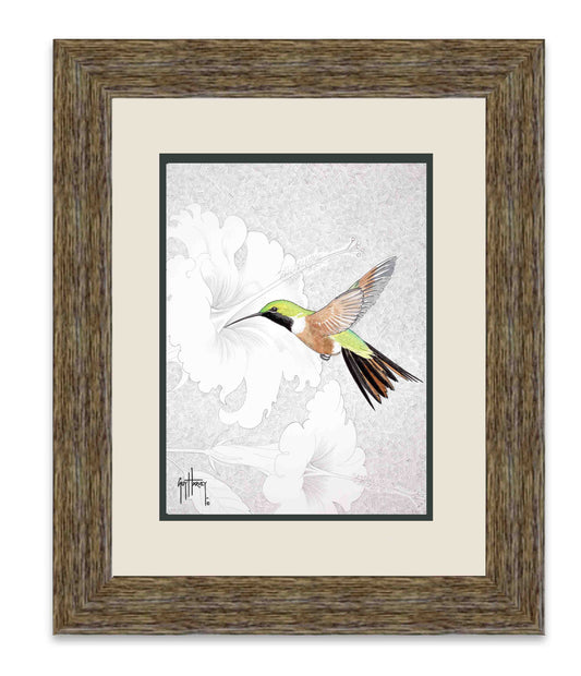 "Bahamas Woodstar" Limited Edition Print