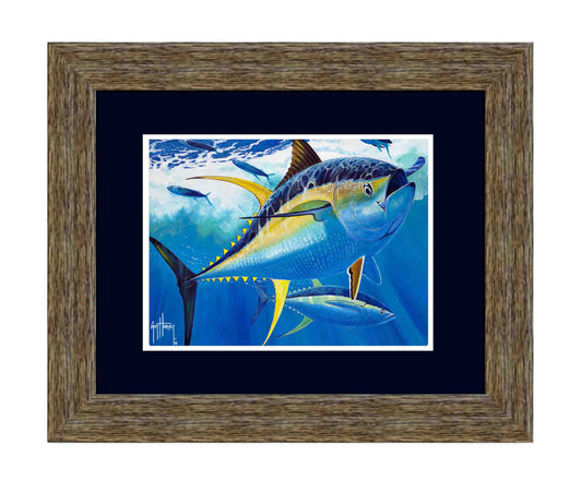 "Yellowfin" Limited Edition Print