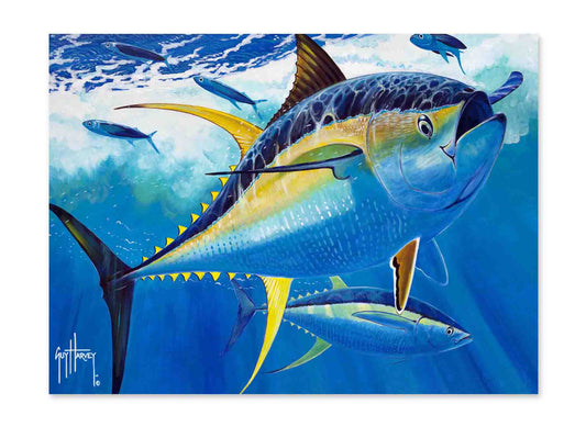 "Yellowfin" Limited Edition Print