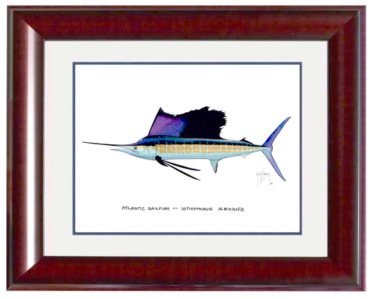 "Atlantic Sailfish" Grande Mini Print