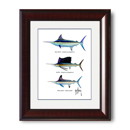 "Atlantic Grand Slam Species" Grande Mini Print