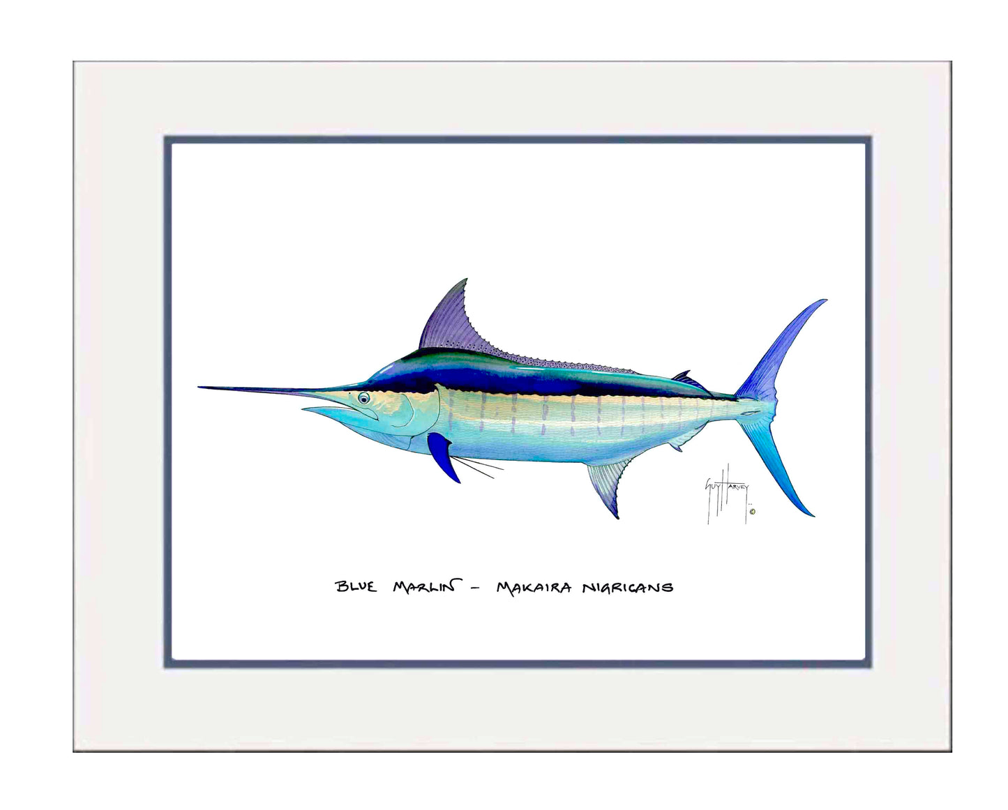 "Blue Marlin" Grande Mini Print