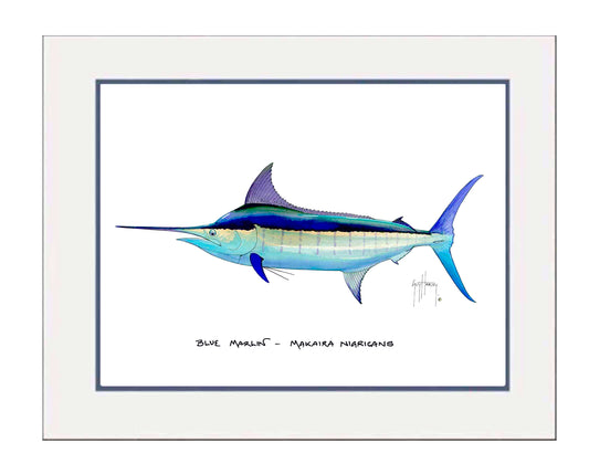 "Blue Marlin" Grande Mini Print