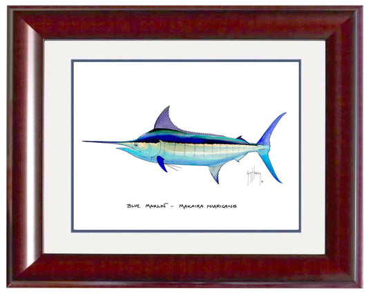 "Blue Marlin" Grande Mini Print