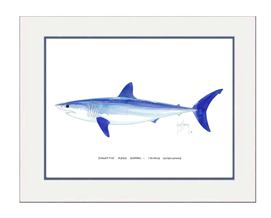 "Mako Shark" Grande Mini Print