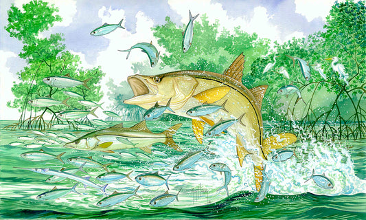 "Mangrove Mania" Original