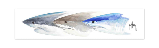 "Shark Heads II" Limited Edition Print