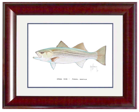 "Striped Bass" Grande Mini Print
