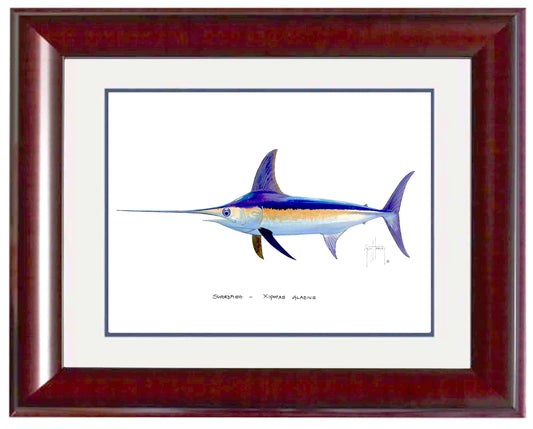 "Swordfish" Grande Mini Print