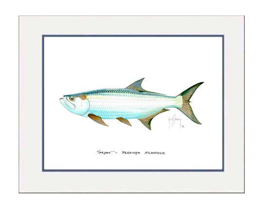 "Tarpon" Grande Mini Print
