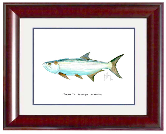 "Tarpon" Grande Mini Print